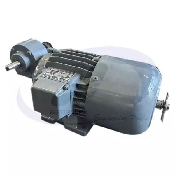 MOTORI BRUSHLESS WEG OGG 733/453
